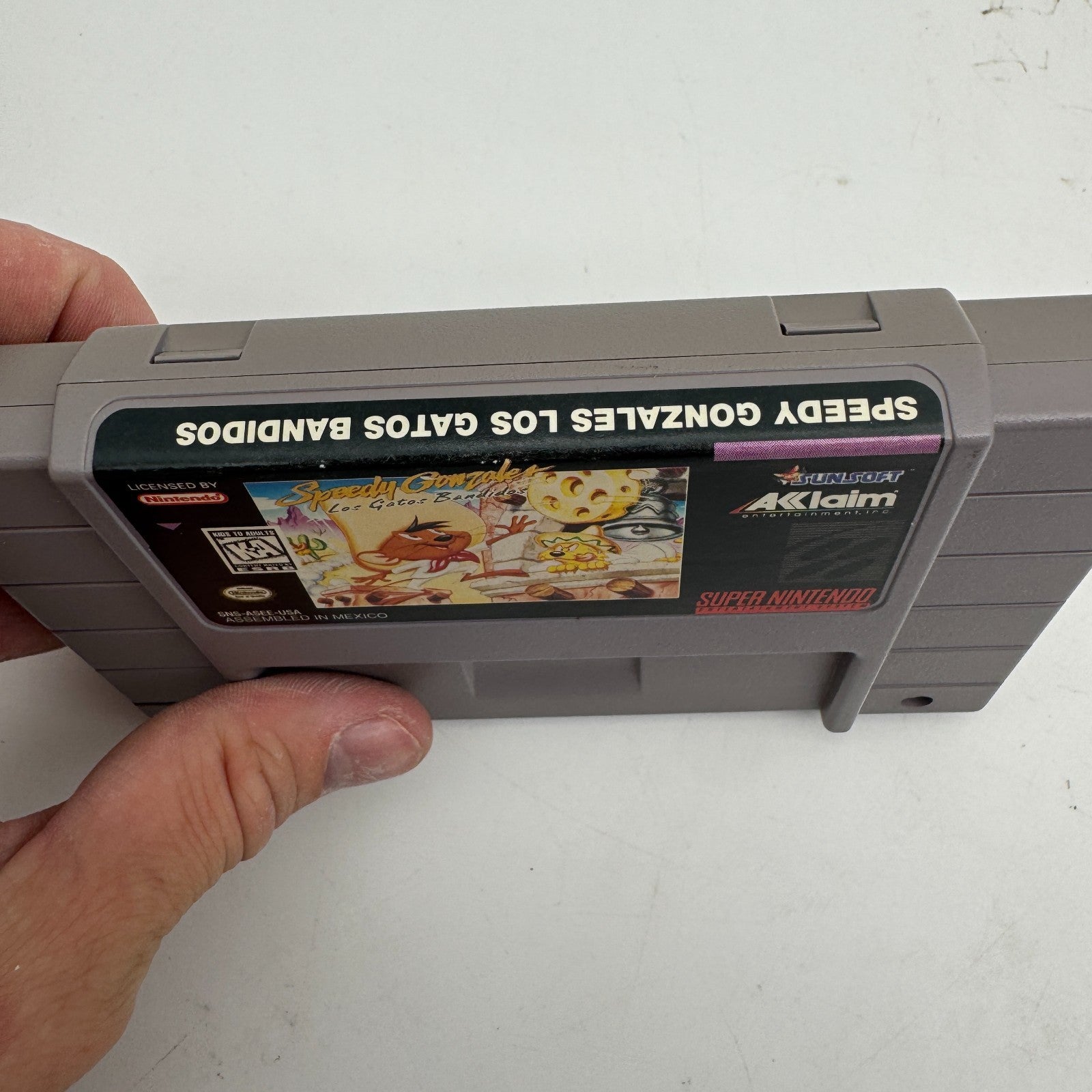 Image #2