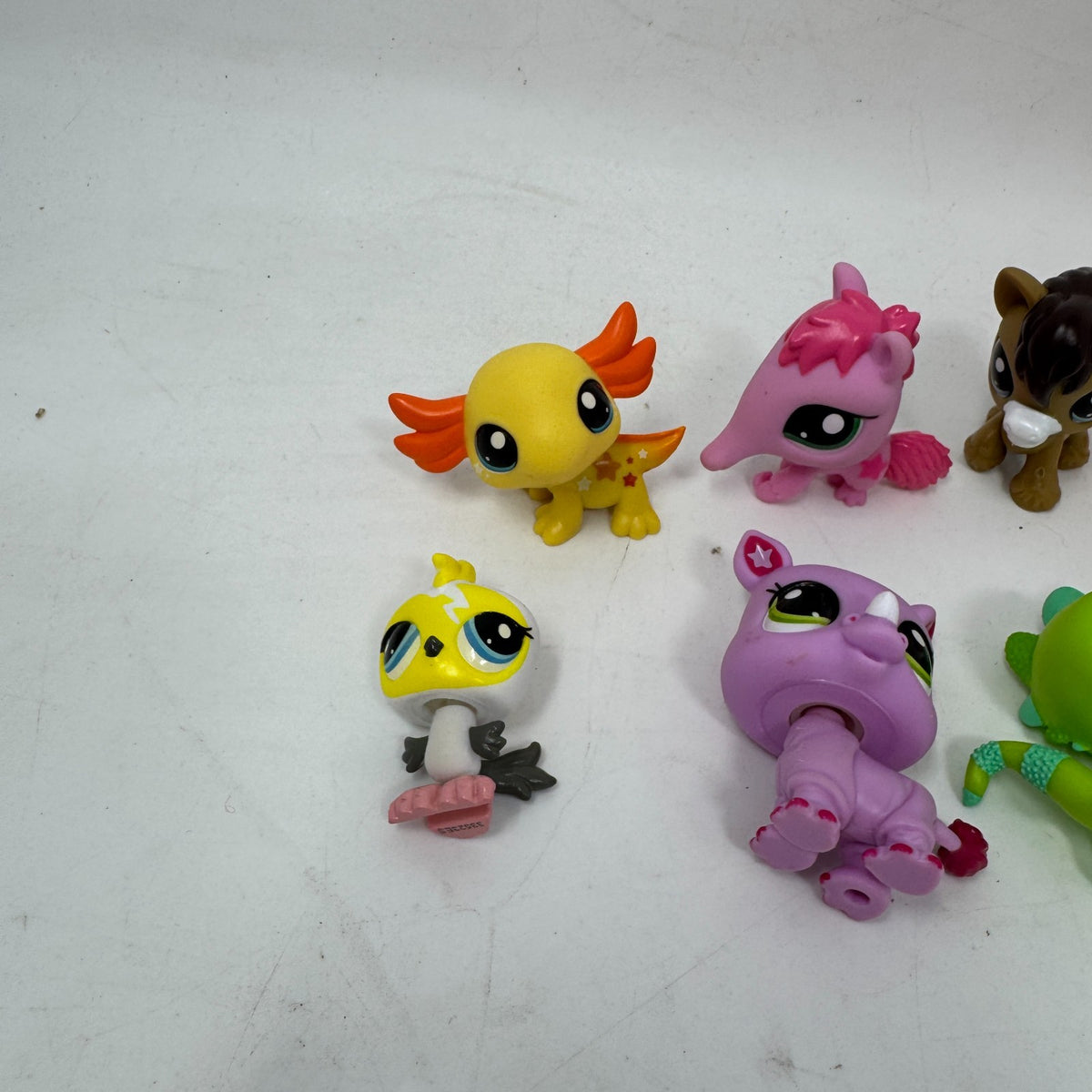 Image #4