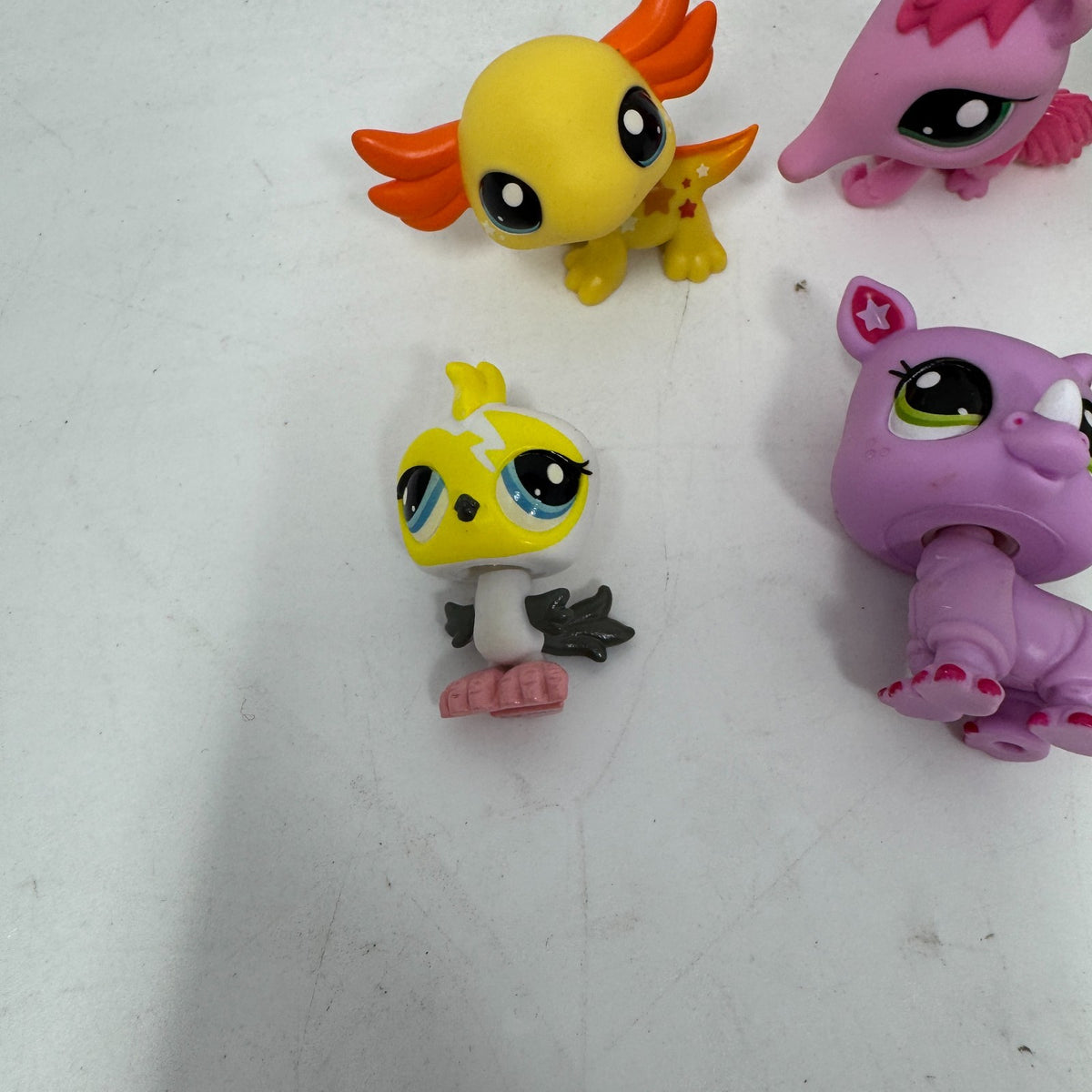 Image #5