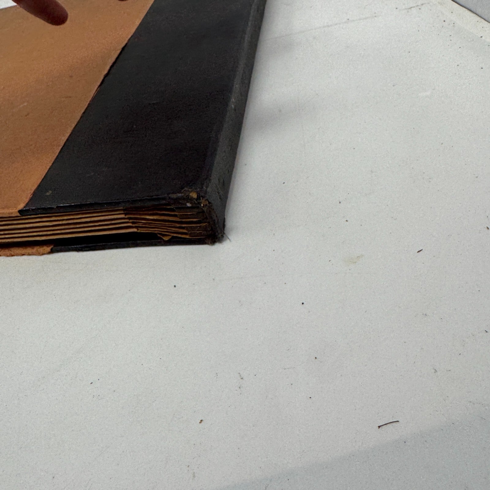 Image #8