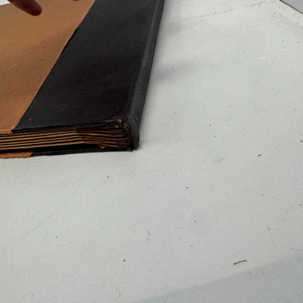 Image #8